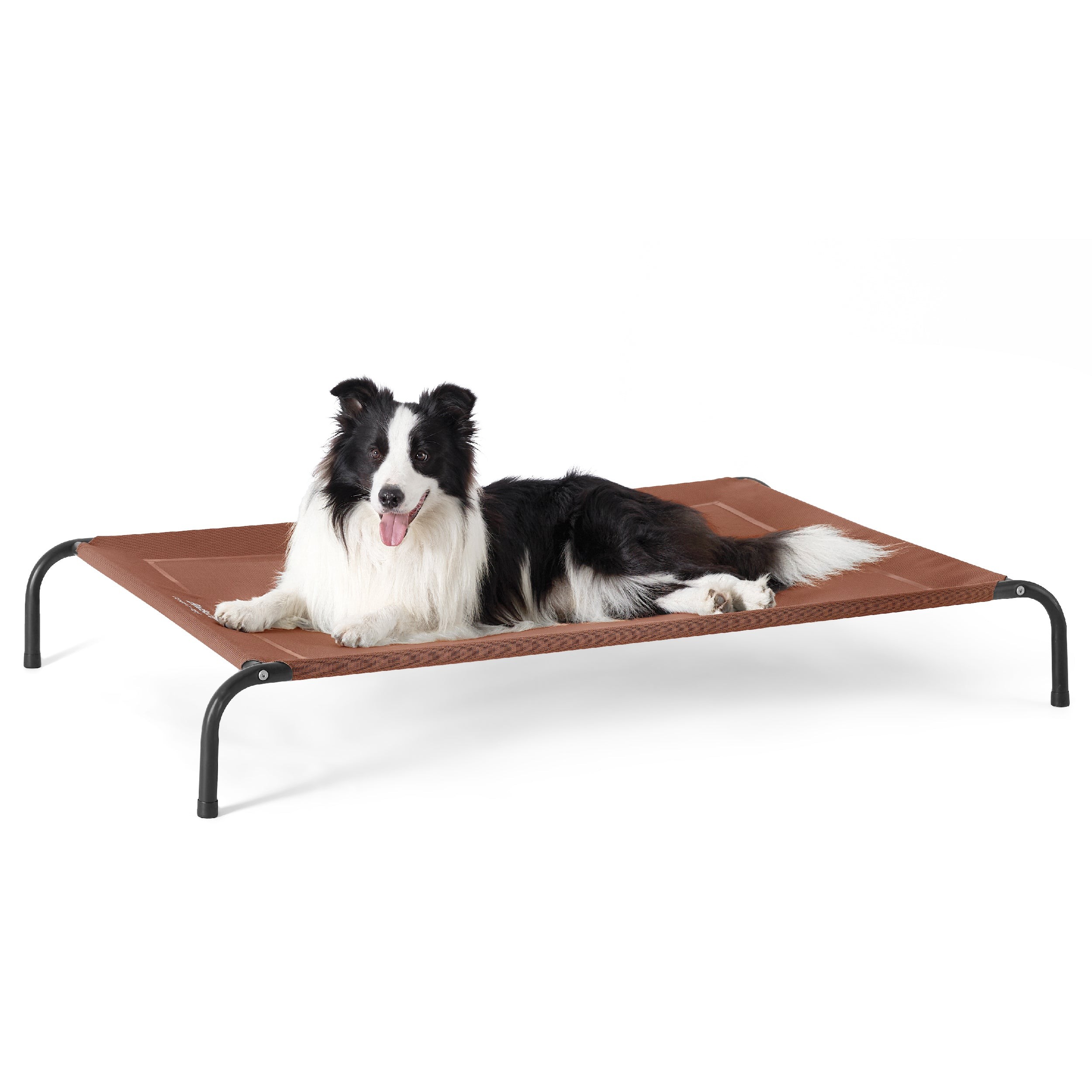 Elevated Mesh Dog Bed with Metal Frame - Aragon