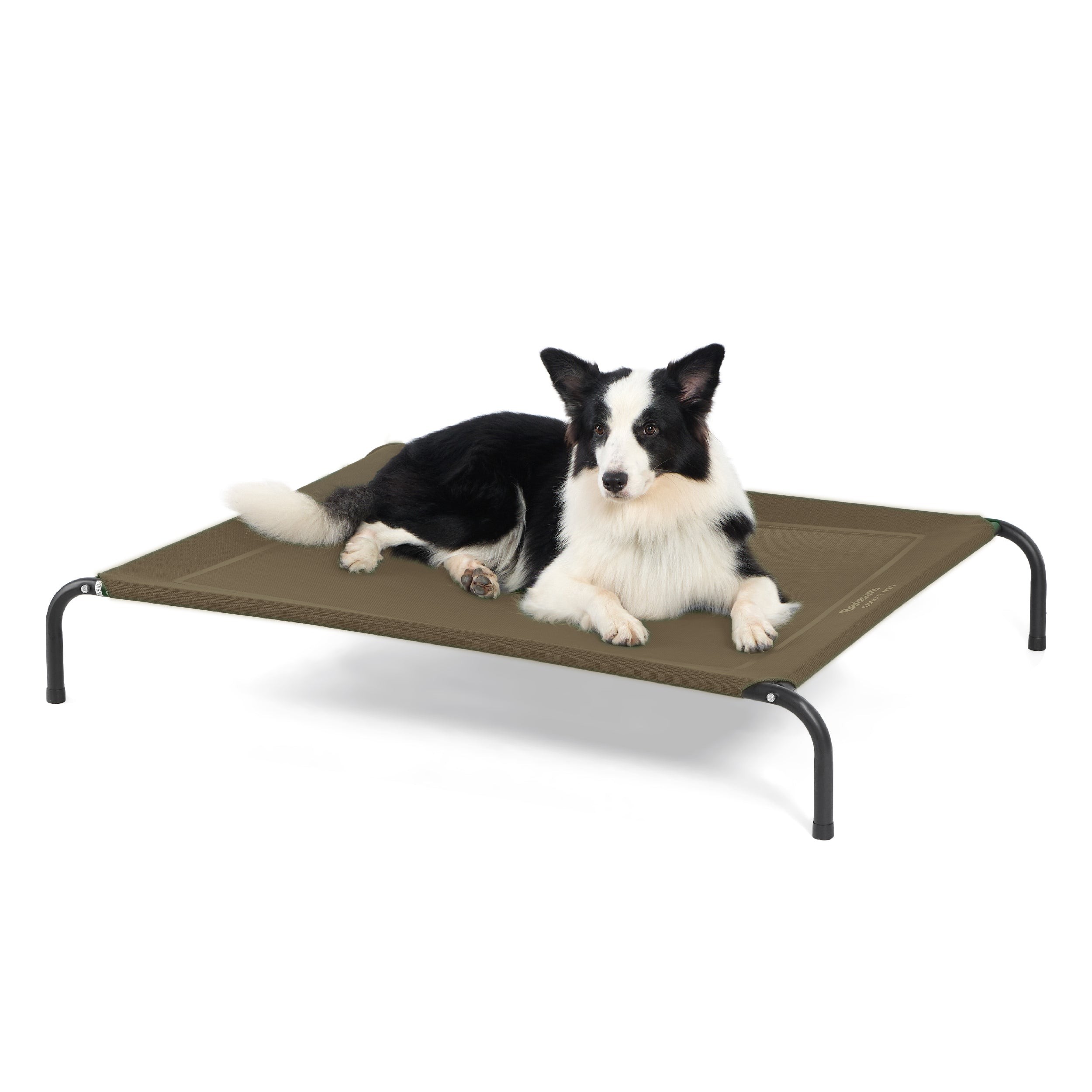 Elevated Mesh Dog Bed with Metal Frame - Brown