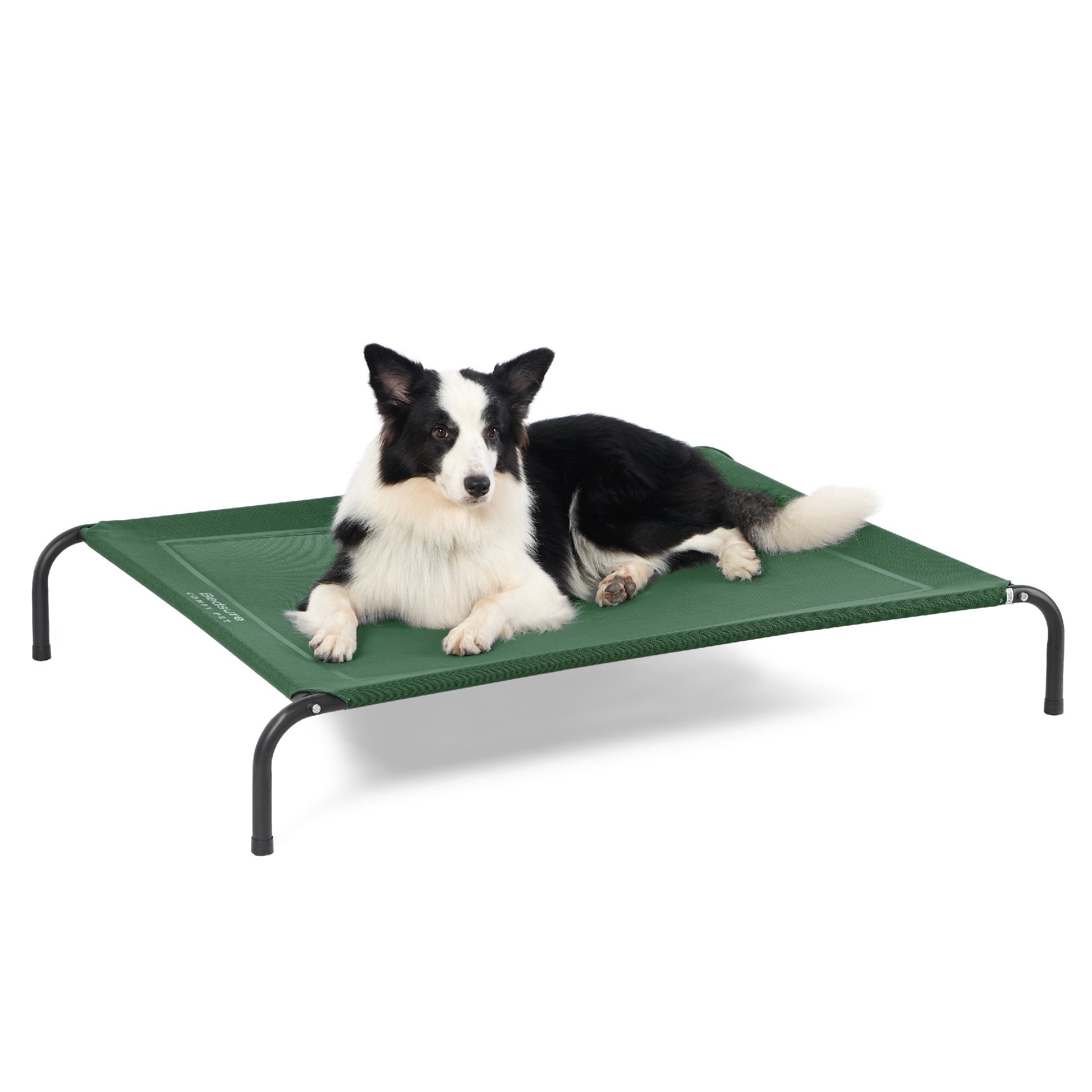 Elevated Mesh Dog Bed with Metal Frame - Green