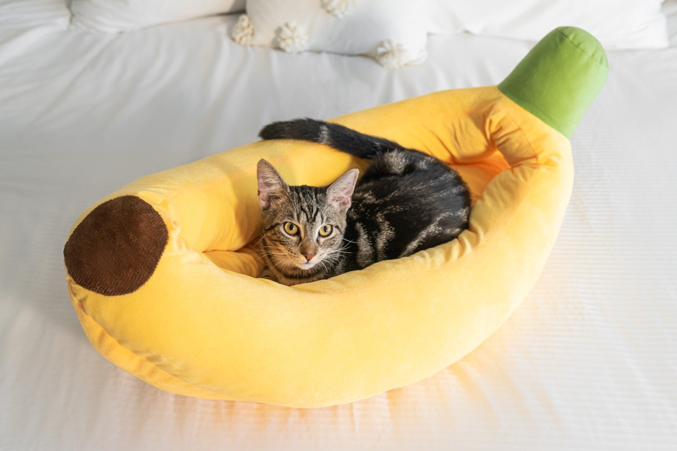 Banana-Shaped Cat Bed with Removable Cushion