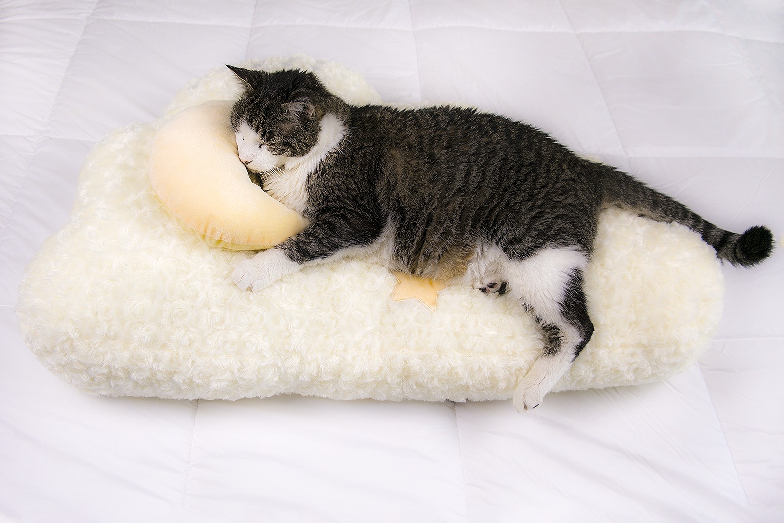 Cloud-Shaped Cat Bed with Moon Pillow