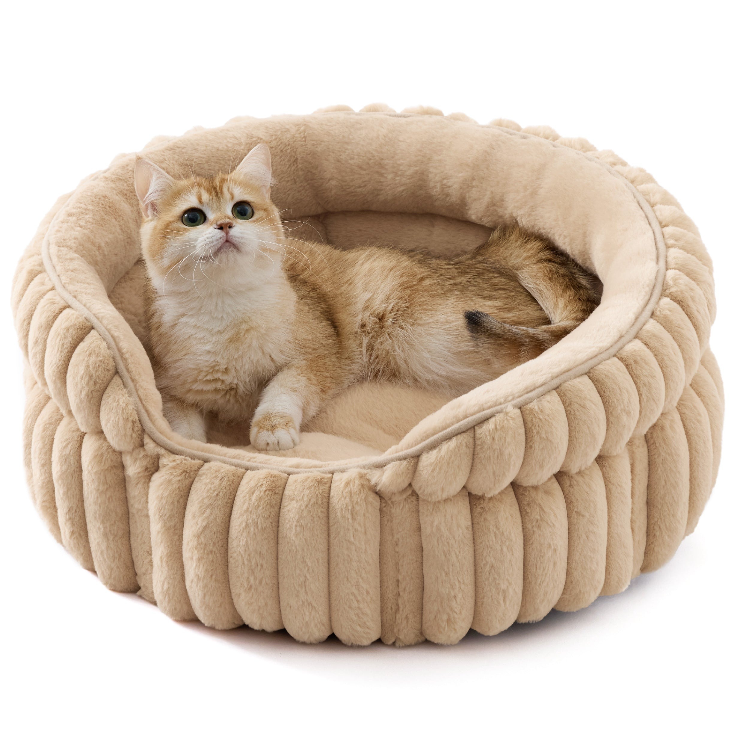 Corduroy Cat Bed with Removable Faux Fur Cushion