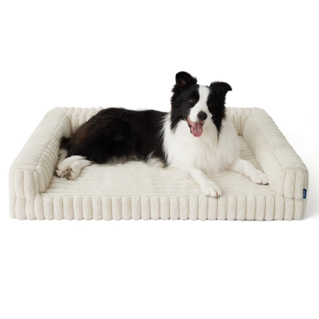 Corduroy Dog Sofa with Memory Foam Base