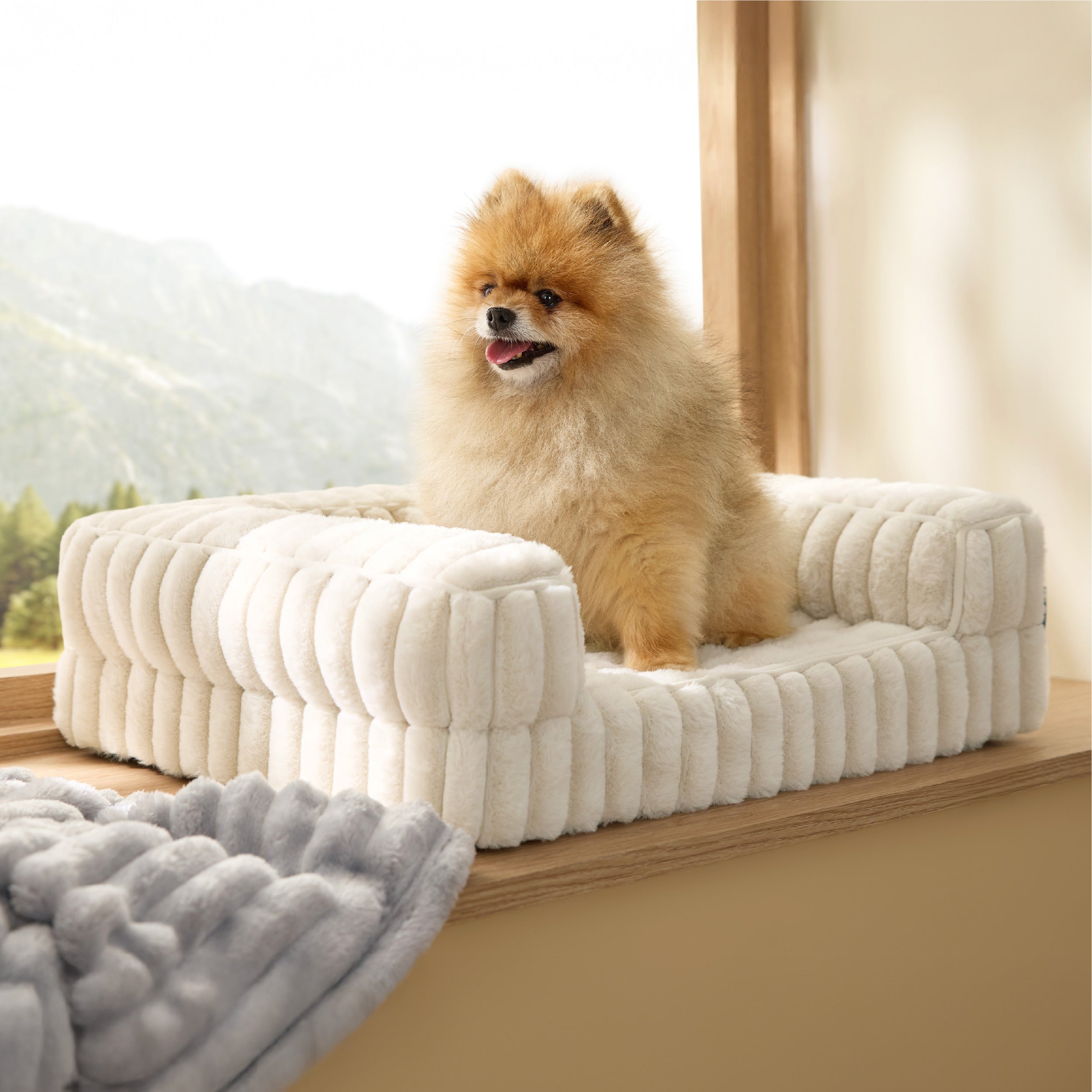 Corduroy Dog Sofa with Layered Foam