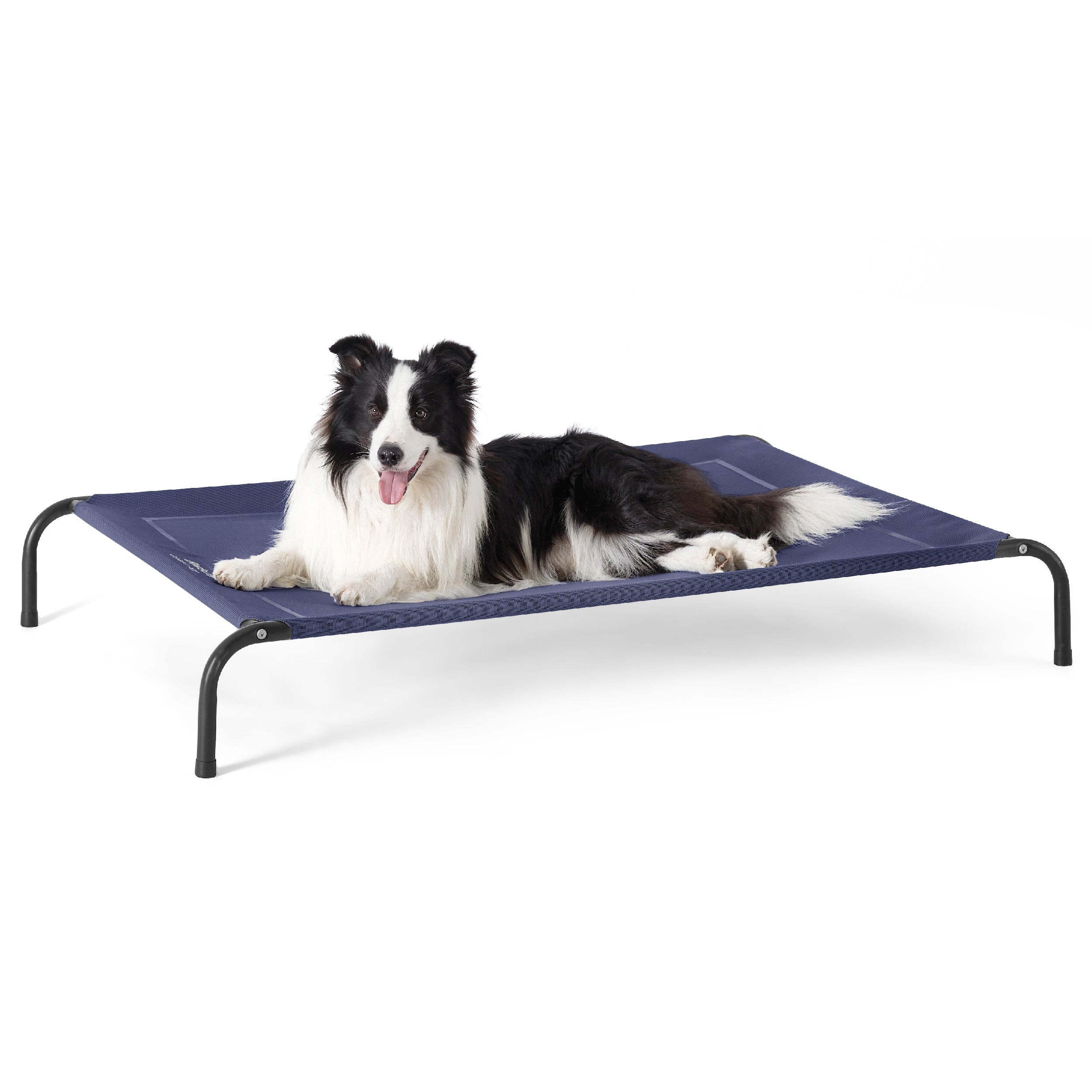 Elevated Mesh Dog Bed with Metal Frame