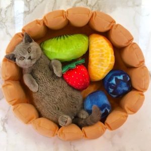 Fruit Tart Cat Bed with Squeaky Fruit Cushions