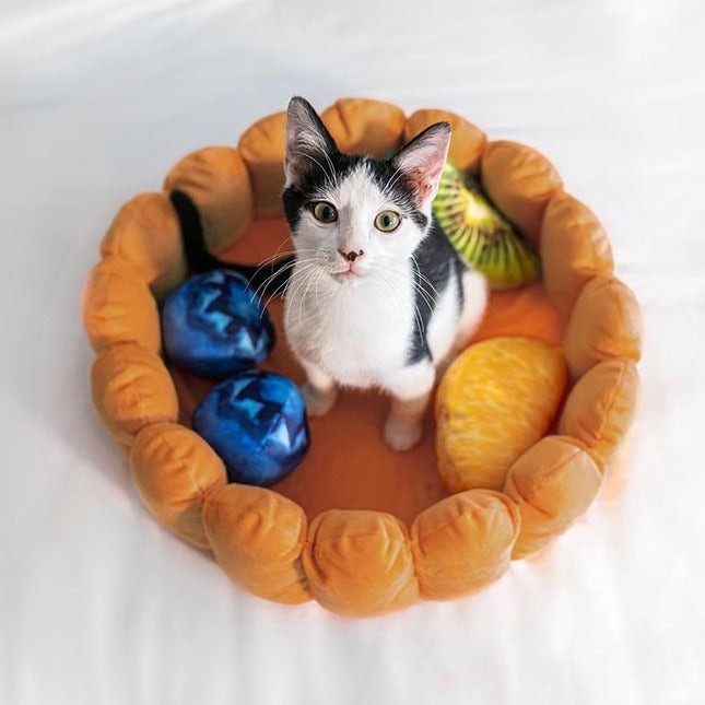 Fruit Tart Cat Bed with Squeaky Fruit Cushions