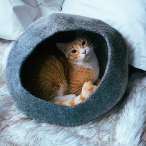 Graphite Ombre Felted Wool Cat Cave