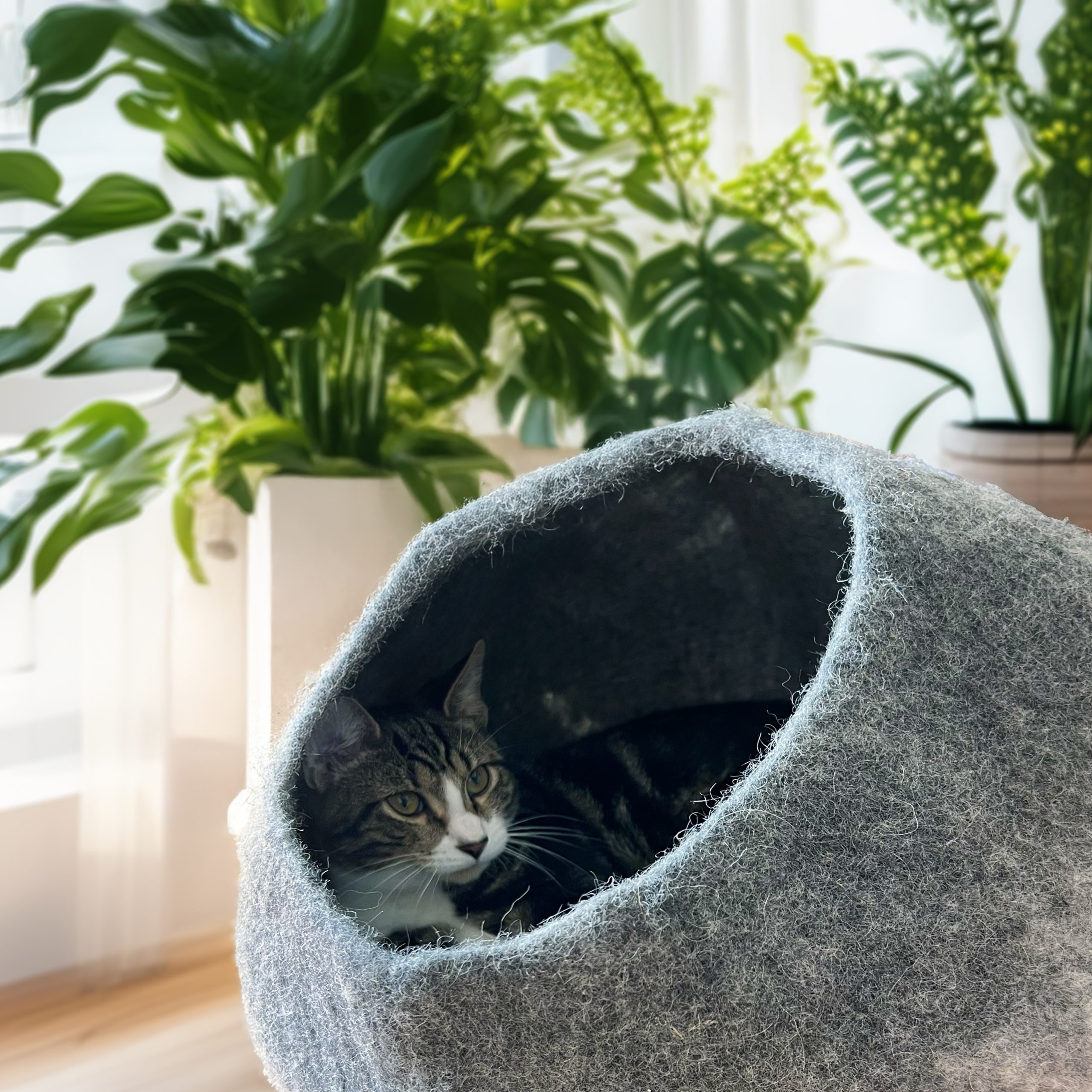 Graphite Ombre Felted Wool Cat Cave