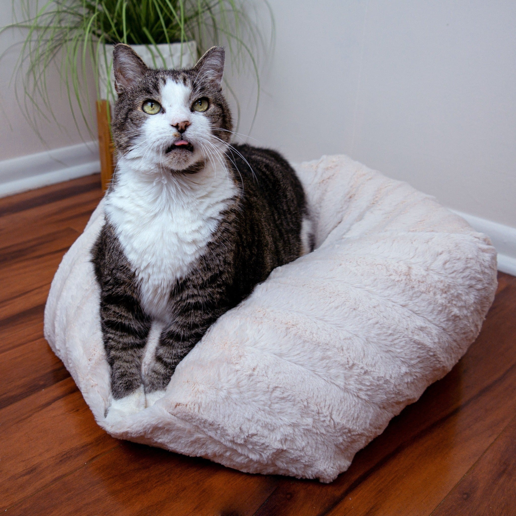 Ivory Textured Faux Fur Pouf Cat Bed