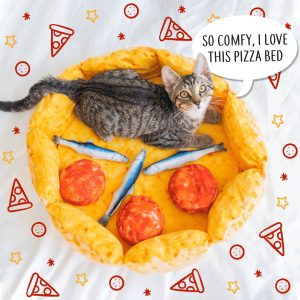 Pizza-Shaped Cat Bed with Toy Cushions