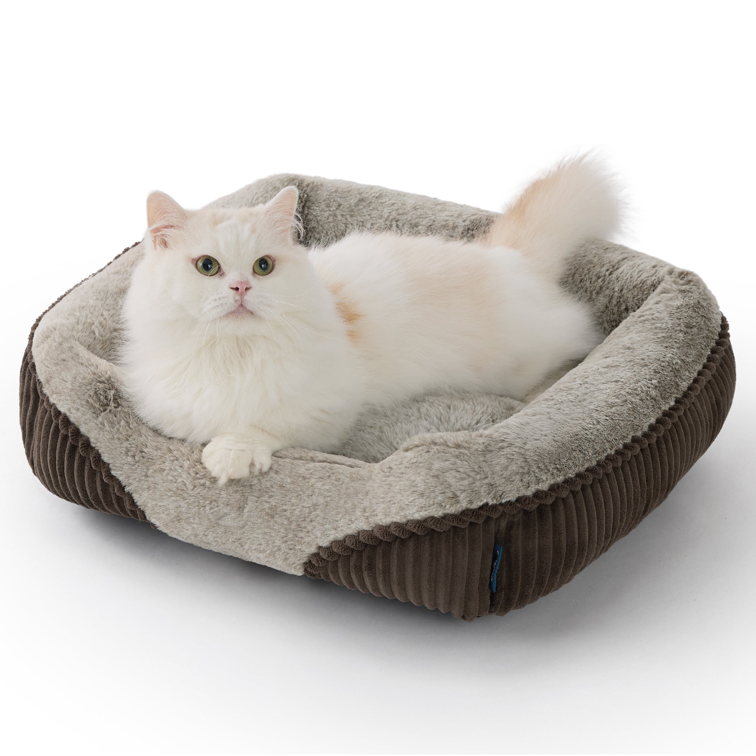 Rectangular Fiber-Filled Dog Bed with Bolsters