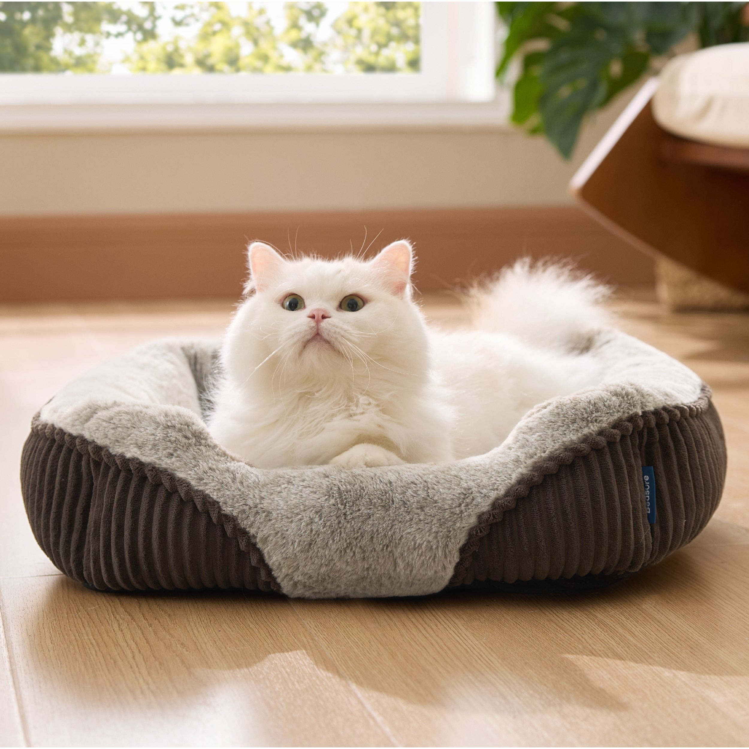 Rectangular Fiber-Filled Dog Bed with Bolsters