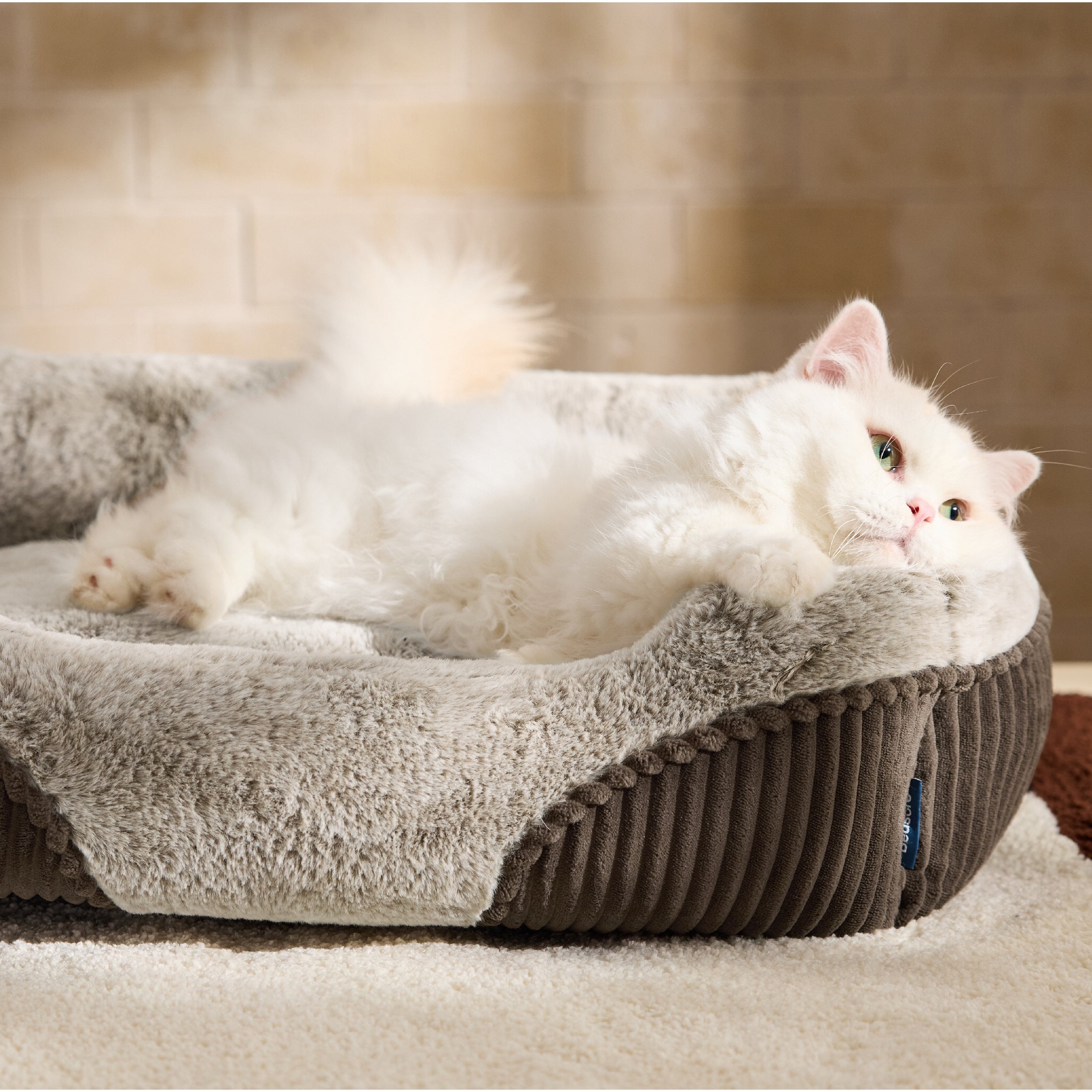 Rectangular Fiber-Filled Dog Bed with Bolsters