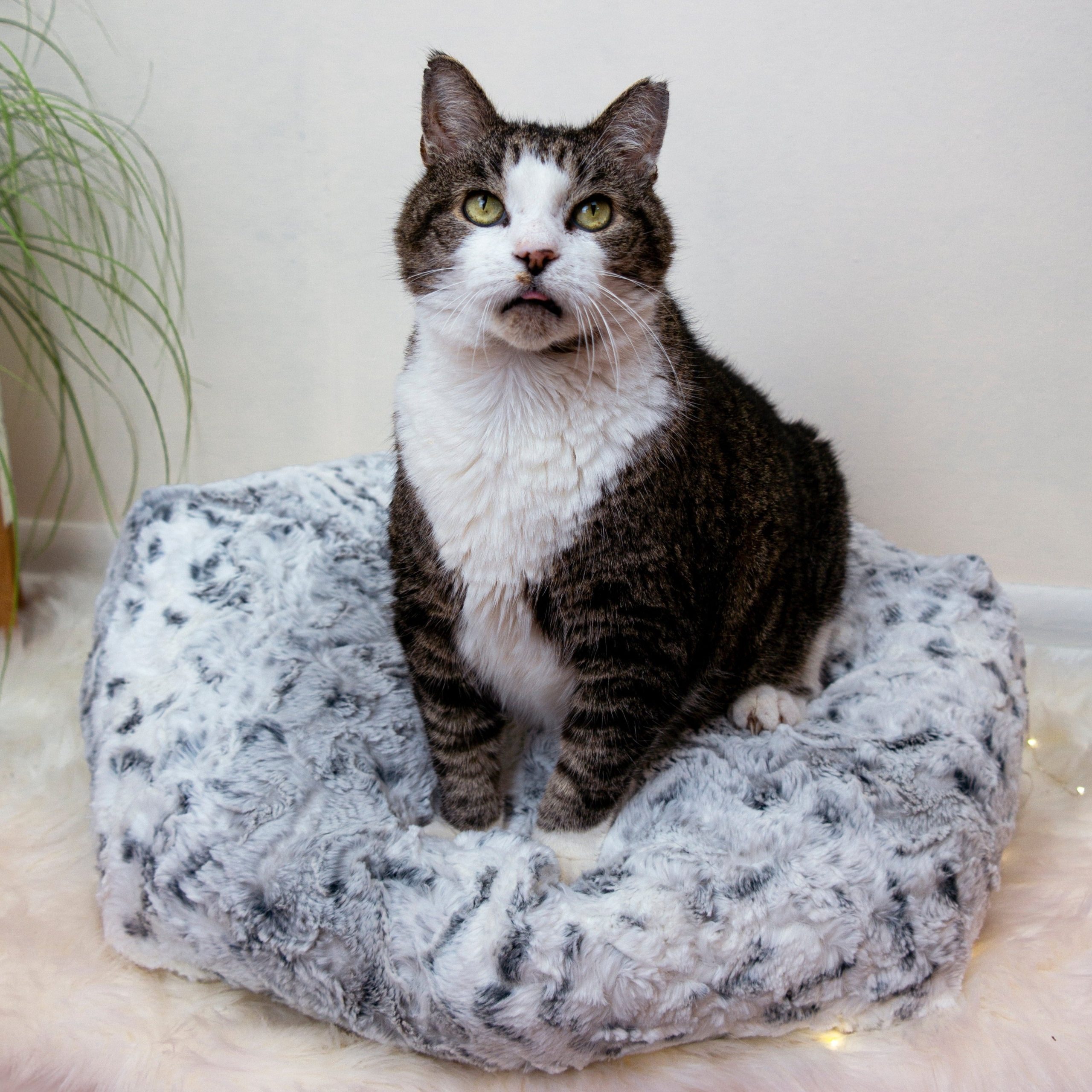 Spotted Faux Fur Pouf Cat Bed