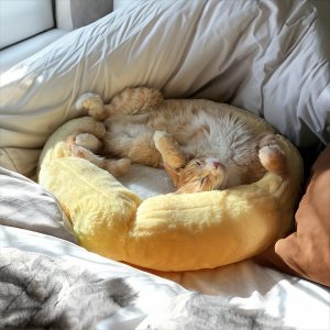 Sun-Shaped Faux Fur Cat Bed with Padded Sides