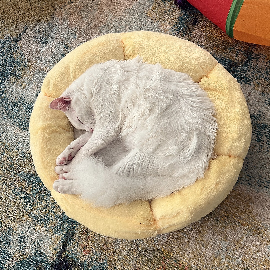 Sun-Shaped Faux Fur Cat Bed with Padded Sides